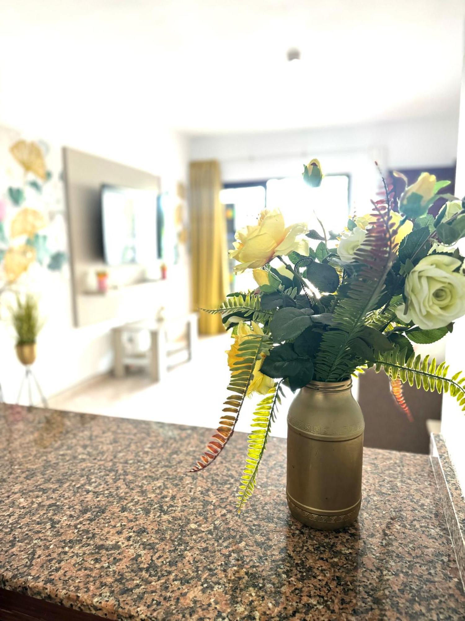 Guinea Apartment 普拉亚戴尔雷安格莱斯 外观 照片
