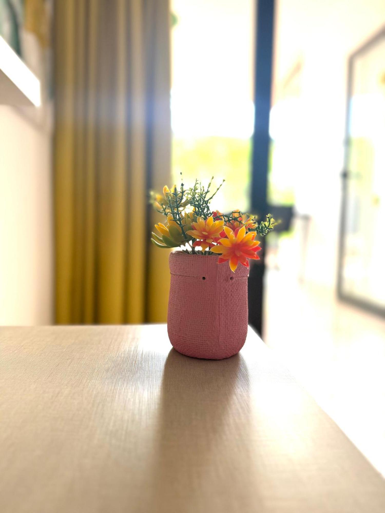 Guinea Apartment 普拉亚戴尔雷安格莱斯 外观 照片